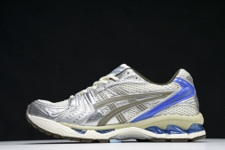 Asics Gel-Kayano 14 1202A056-113