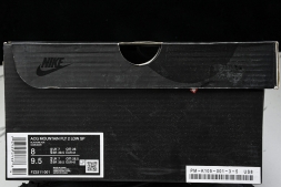 Nike ACG Mountain Fly 2 Low SP FZ3311-001