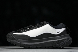 Nike ACG Mountain Fly 2 Low SP FZ3311-101