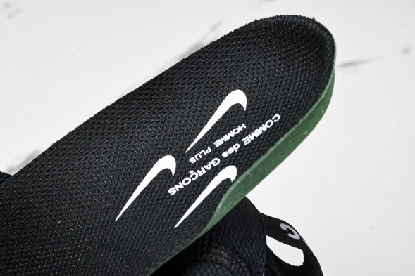 Nike ACG Mountain Fly 2 Low SP FZ3311-101 