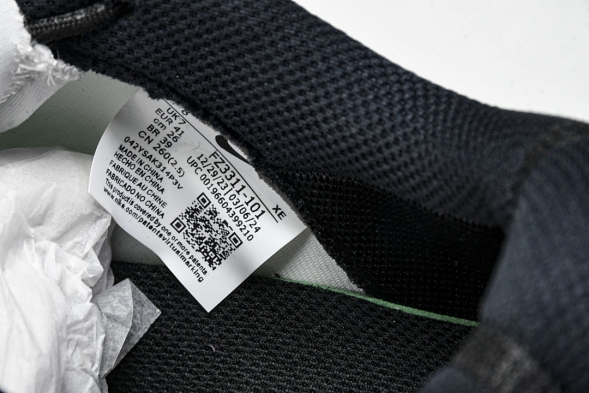 Nike ACG Mountain Fly 2 Low SP FZ3311-101 