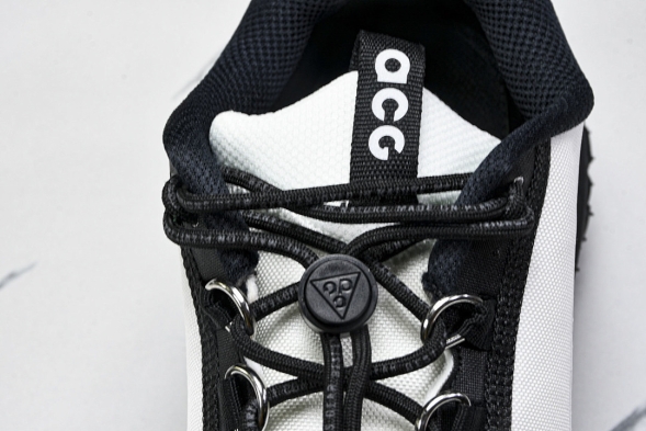 Nike ACG Mountain Fly 2 Low SP FZ3311-101 