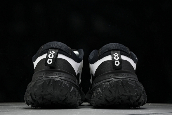 Nike ACG Mountain Fly 2 Low SP FZ3311-101 