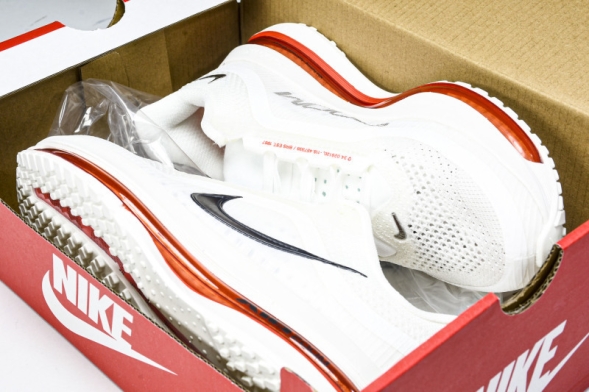 Nike Air Zoom Pegasus Premium HQ2592-101 