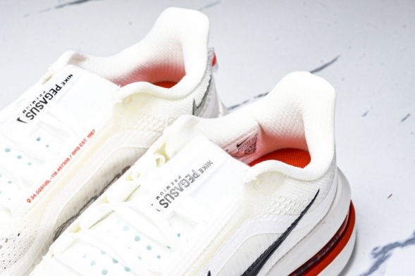 Nike Air Zoom Pegasus Premium HQ2592-101 