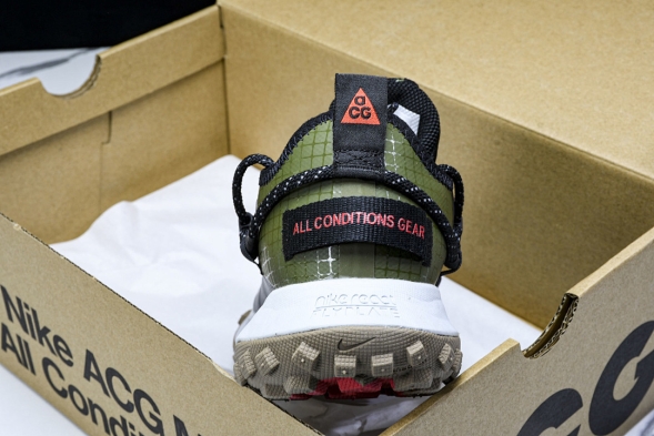 Nike ACG Mountain Fly Low GTX SE D09334 300 