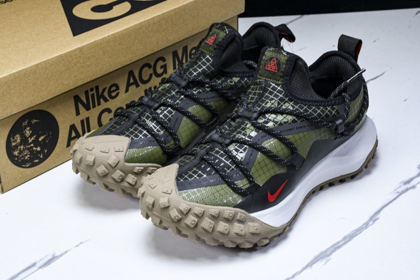 Nike ACG Mountain Fly Low GTX SE D09334 300 