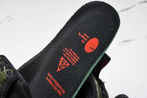 Nike ACG Mountain Fly Low GTX SE D09334 300 