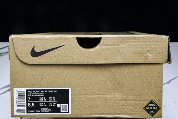 Nike ACG Mountain Fly Low GTX SE DD2861 200 