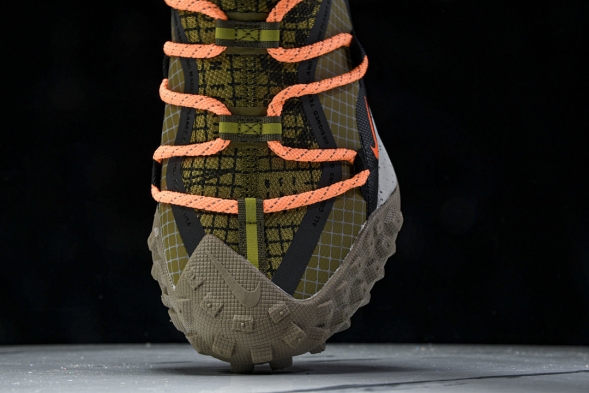 Nike ACG Mountain Fly Low GTX SE DD2861 200 