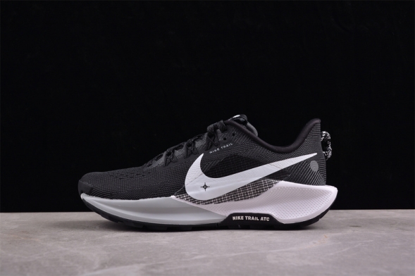 Nike Pegasus Trail 5 DV3864-001 