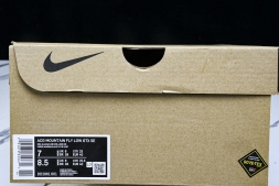 Nike ACG Mountain Fly Low GTX SE DD2861 001