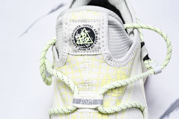 Nike ACG Mountain Fly Low GTX SE DD2861 001 