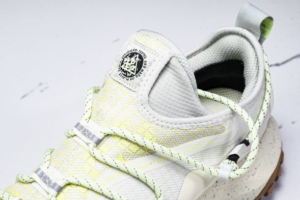 Nike ACG Mountain Fly Low GTX SE DD2861 001 