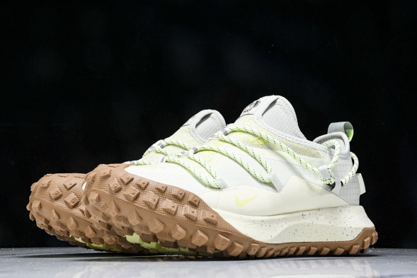 Nike ACG Mountain Fly Low GTX SE DD2861 001 