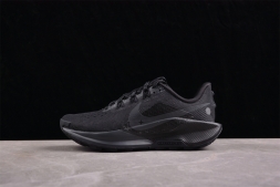 Nike Pegasus Trail 5 DV3864-002