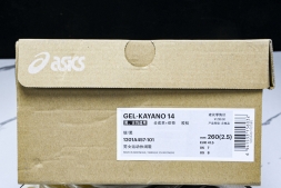 Asics Gel-Kayano 14 1201A457-101