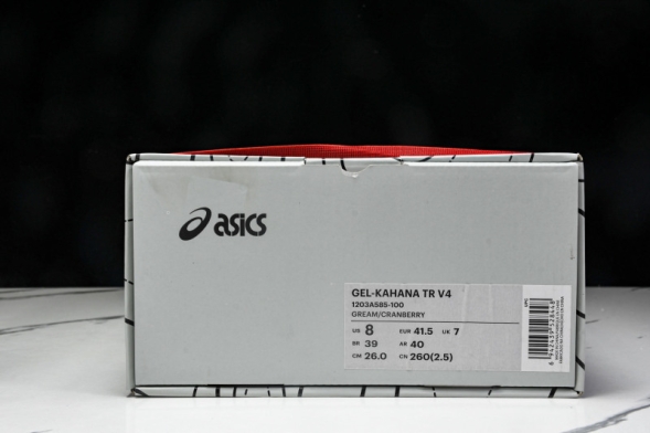 Asics Gel-Kahana TR V4 1203A585-100 