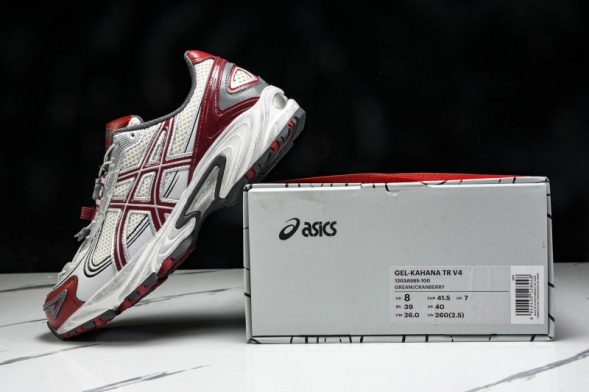 Asics Gel-Kahana TR V4 1203A585-100 