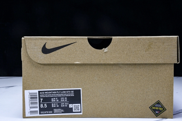 Nike ACG Mountain Fly Low GTX SE DQ1979-500 