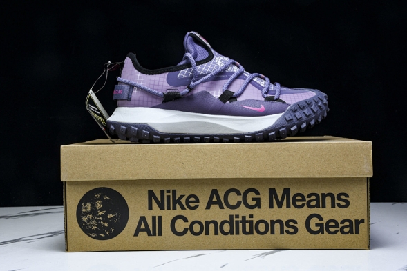 Nike ACG Mountain Fly Low GTX SE DQ1979-500 