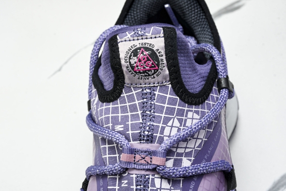 Nike ACG Mountain Fly Low GTX SE DQ1979-500 