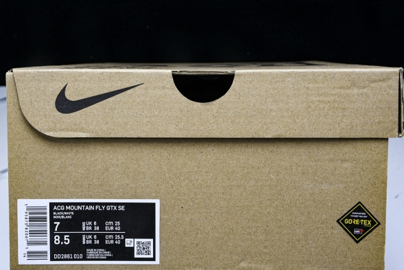 Nike ACG Mountain Fly Low GTX SE DD2861 010 