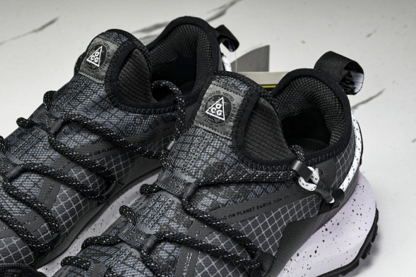 Nike ACG Mountain Fly Low GTX SE DD2861 010 