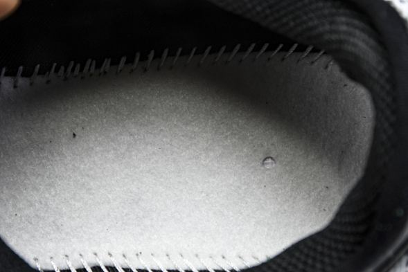 Nike ACG Mountain Fly Low GTX SE DD2861 010 