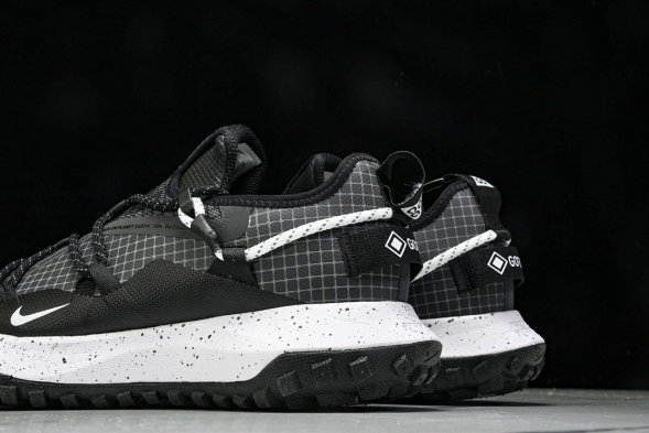 Nike ACG Mountain Fly Low GTX SE DD2861 010 