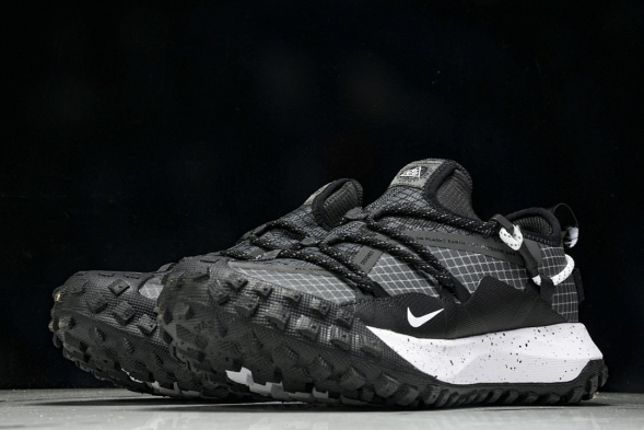 Nike ACG Mountain Fly Low GTX SE DD2861 010 