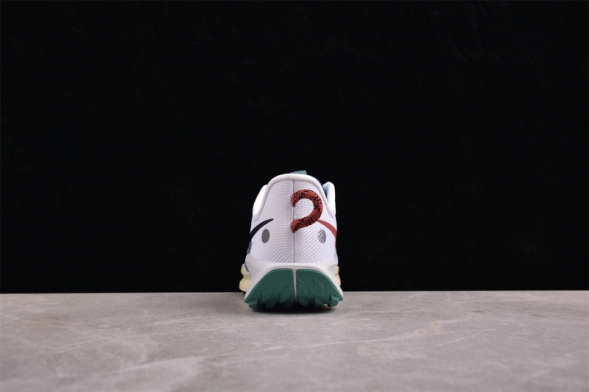 Nike Pegasus Trail 5 DV3864-100 