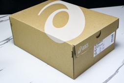 Asics Gel-Nimbus 10.1 1203A543-400