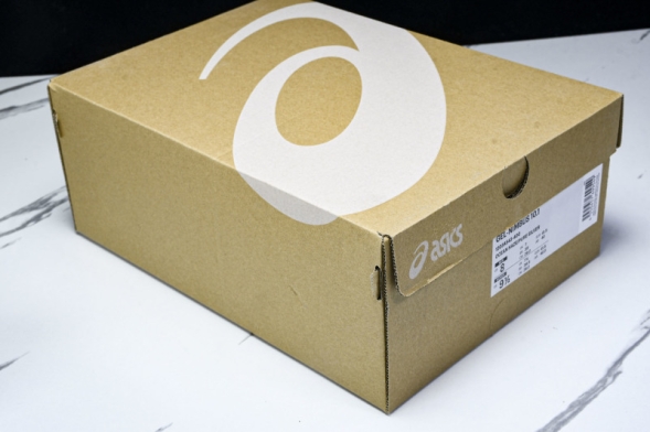 Asics Gel-Nimbus 10.1 1203A543-400 