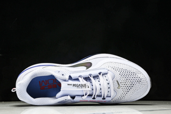 Nike Air Zoom Pegasus Premium HQ2592-004 