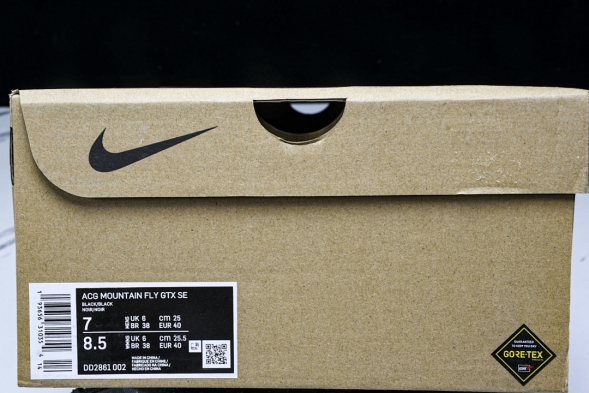 Nike ACG Mountain Fly Low GTX SE DD2861 002 