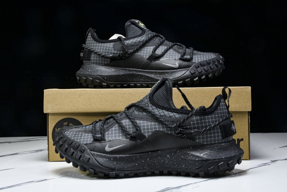 Nike ACG Mountain Fly Low GTX SE DD2861 002 