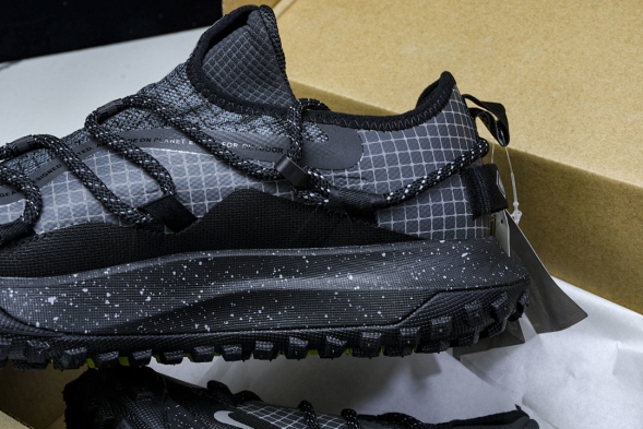 Nike ACG Mountain Fly Low GTX SE DD2861 002 