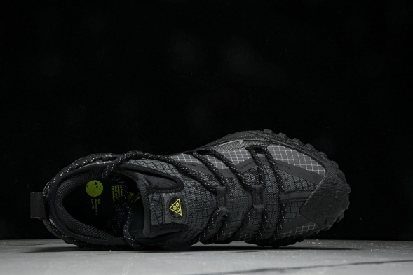 Nike ACG Mountain Fly Low GTX SE DD2861 002 