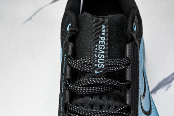 Nike Air Zoom Pegasus Premium HQ2592-006 