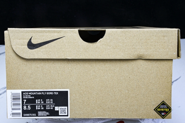 Nike ACG Mountain Fly Low GTX SE DX6675 001 