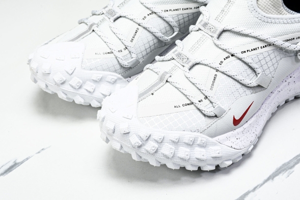 Nike ACG Mountain Fly Low GTX SE DX6675 001 