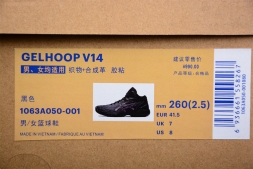 Asics Gelhoop V14 1063A050-001