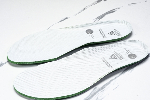 Nike ACG Mountain Fly Low GTX SE DD2861 011 