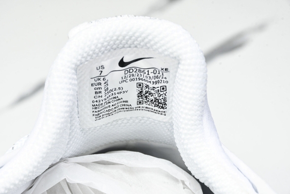 Nike ACG Mountain Fly Low GTX SE DD2861 011 