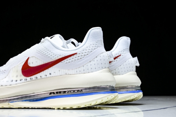 Nike Air Zoom Pegasus Premium IH7347-111 