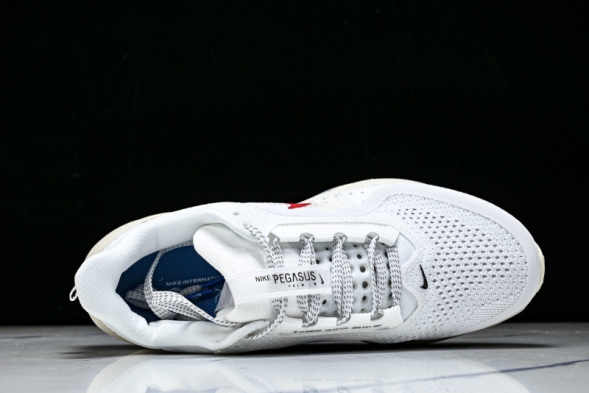 Nike Air Zoom Pegasus Premium IH7347-111 