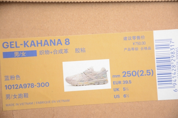 Asics GEL-KAHANA 8 1012A978-300 
