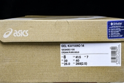 Asics Gel-Kayano 14 1203A692-100