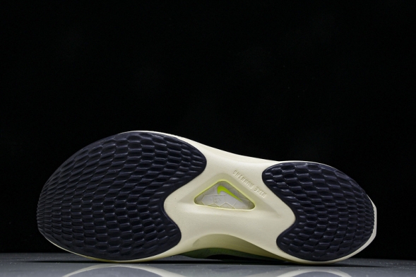 Nike Zoom Fly 5 DM8968 300 